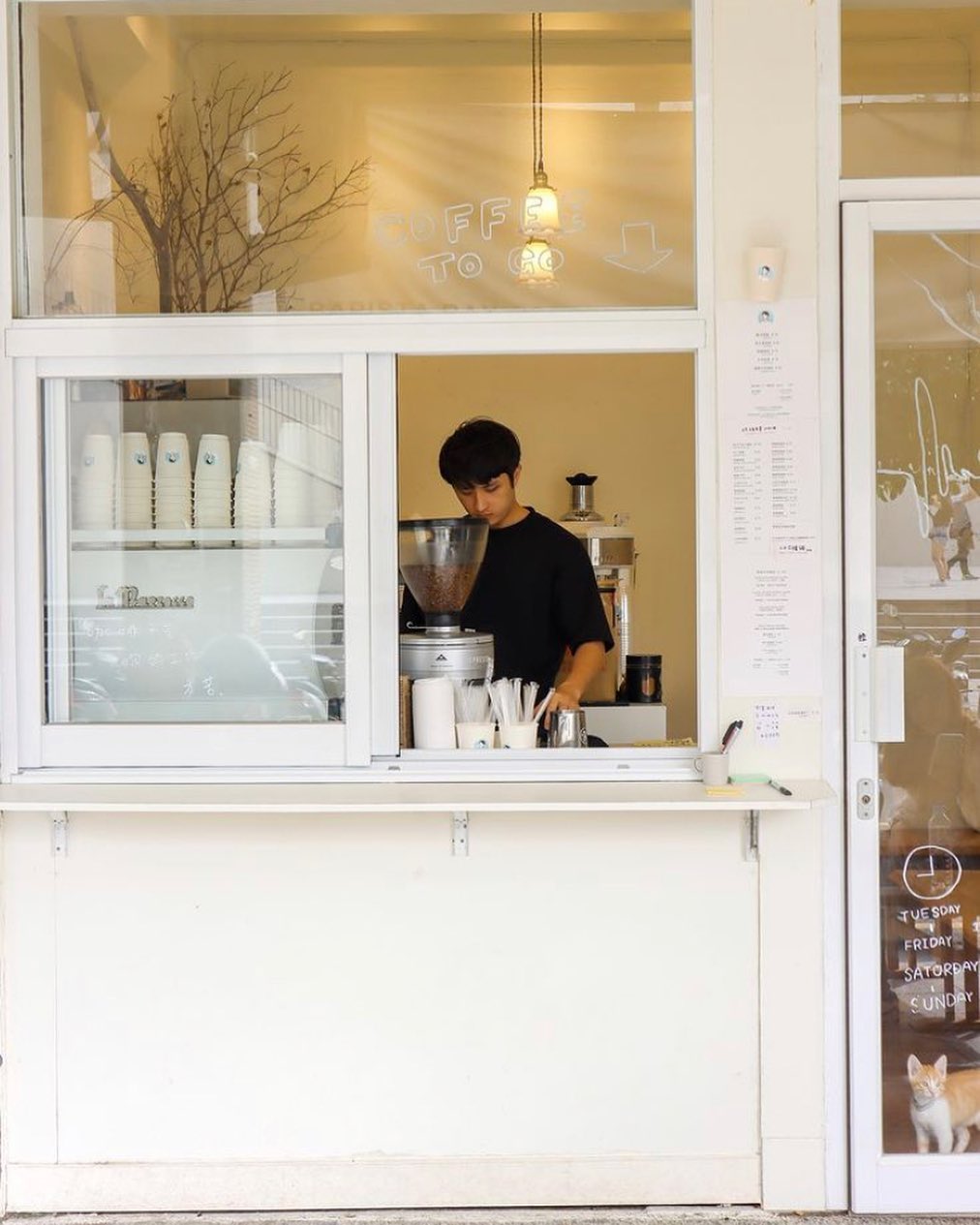 【台灣咖啡地圖】從巷弄小店到國際舞台：探索台灣獨特的咖啡文化魅力